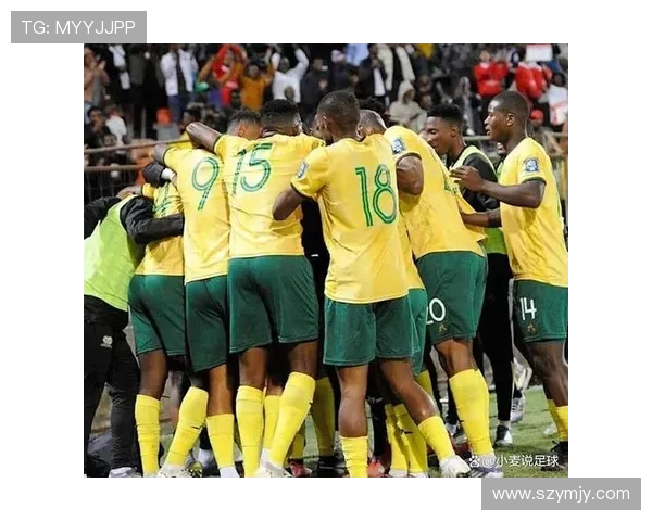 世界杯精彩对决美国队与南非队的巅峰对抗赛即将上演